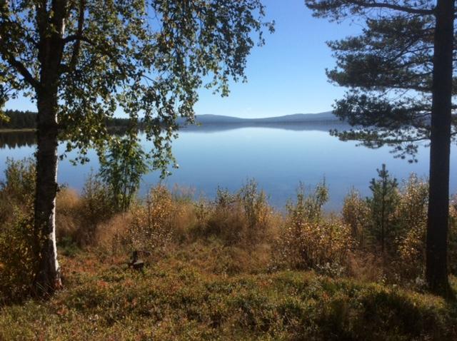 Vestre Sorken Feriegard * Drevsjo