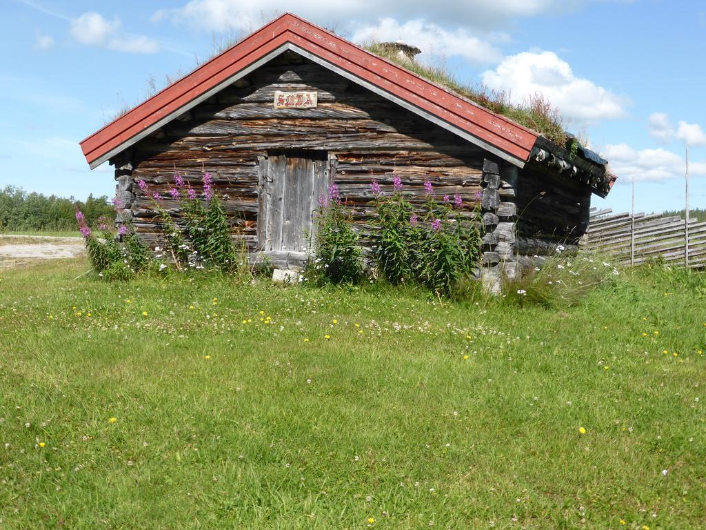 Vestre Sorken Feriegard Country house Drevsjo
