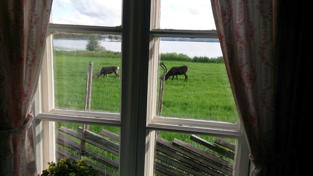 Country house Vestre Sorken Feriegard Drevsjo